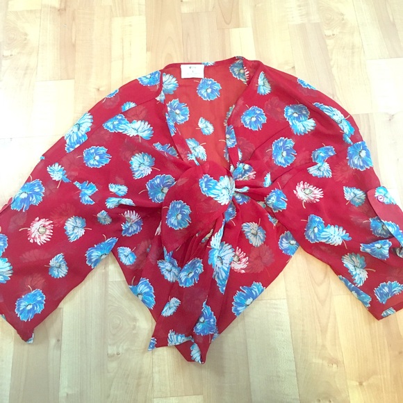 Whimsy sheer blouse - Picture 2 of 3